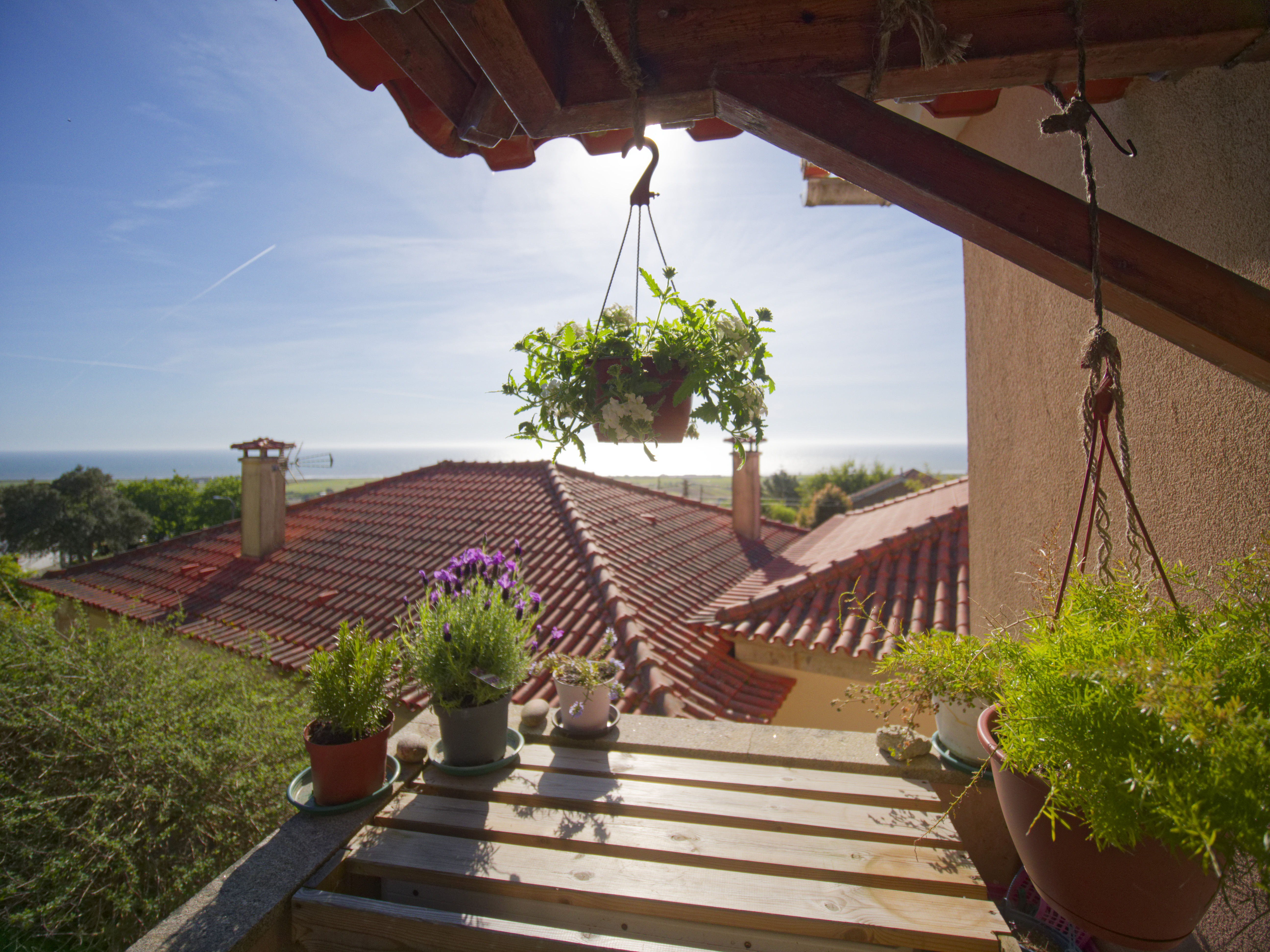 Terraço com plantas suspensas