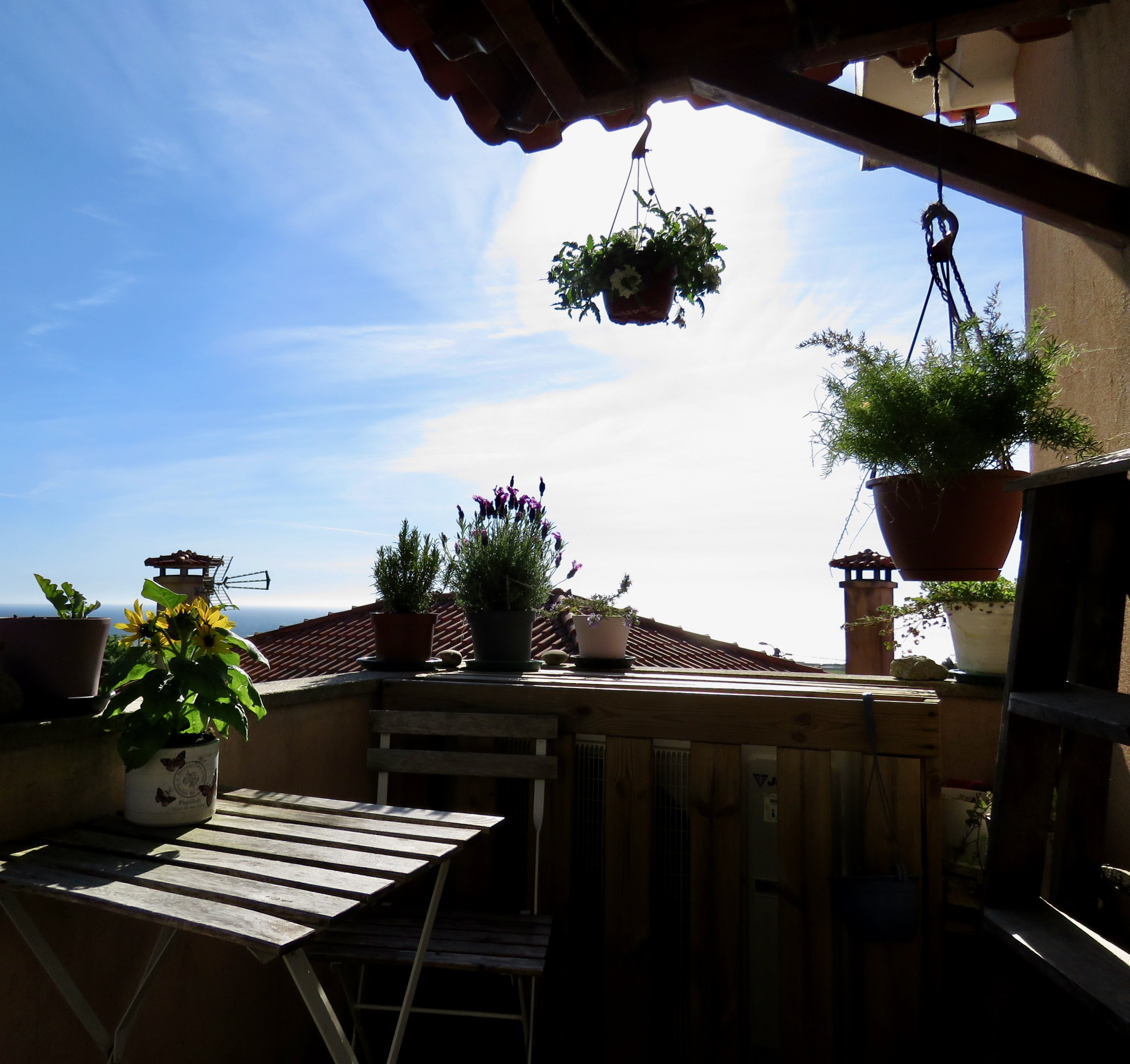 Terraço com girassol e vista para o mar